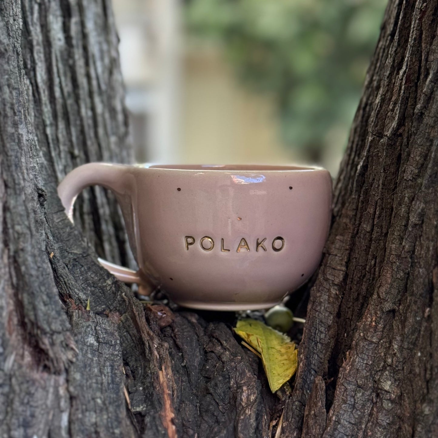 Polako Mug