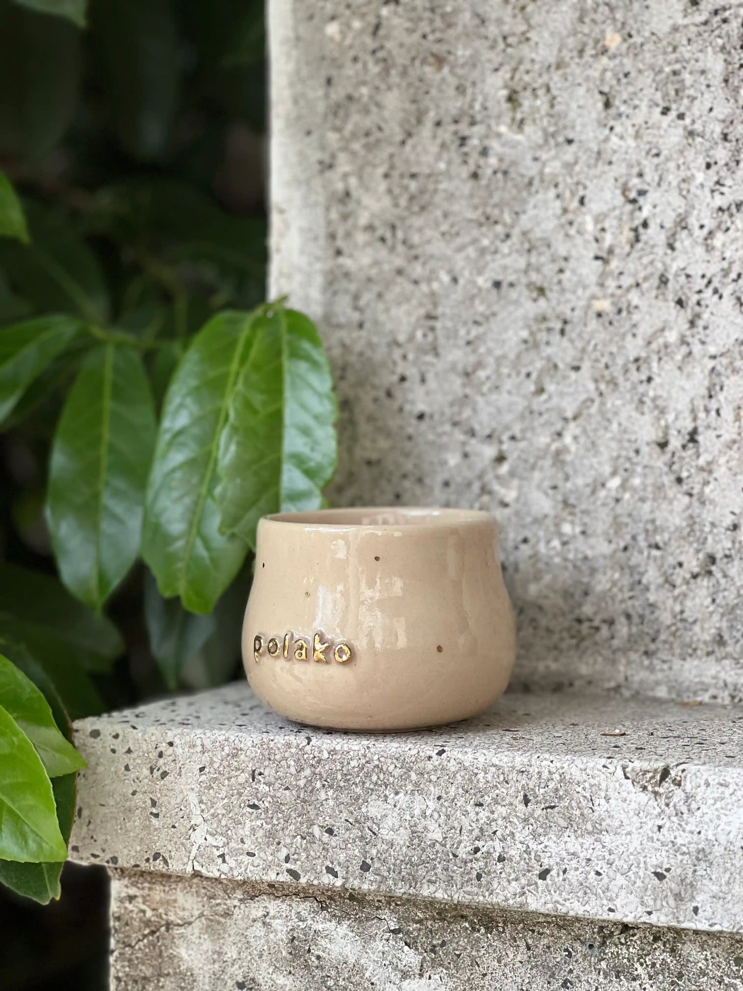 Polako Cup 300ml