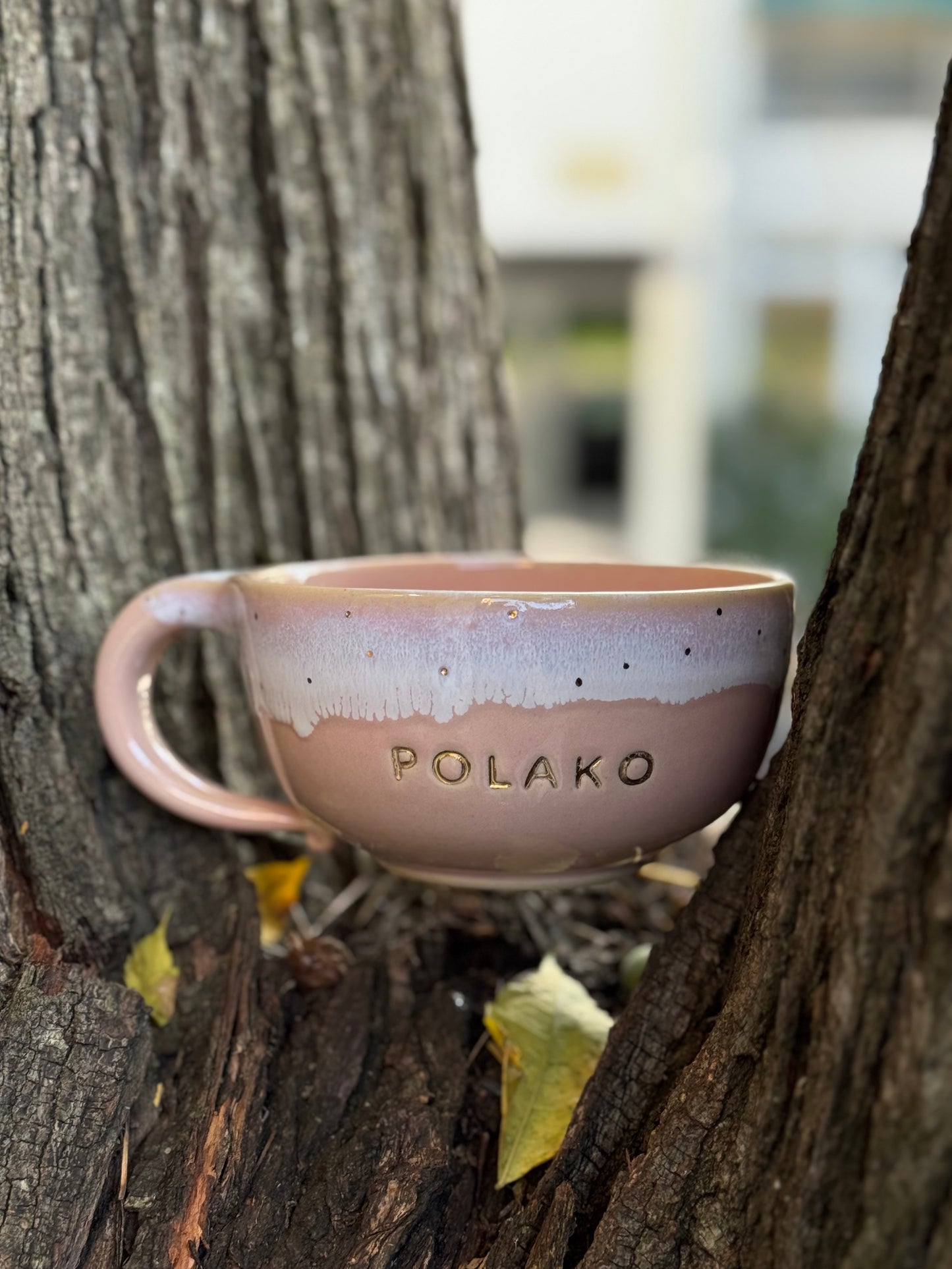 Polako Mug