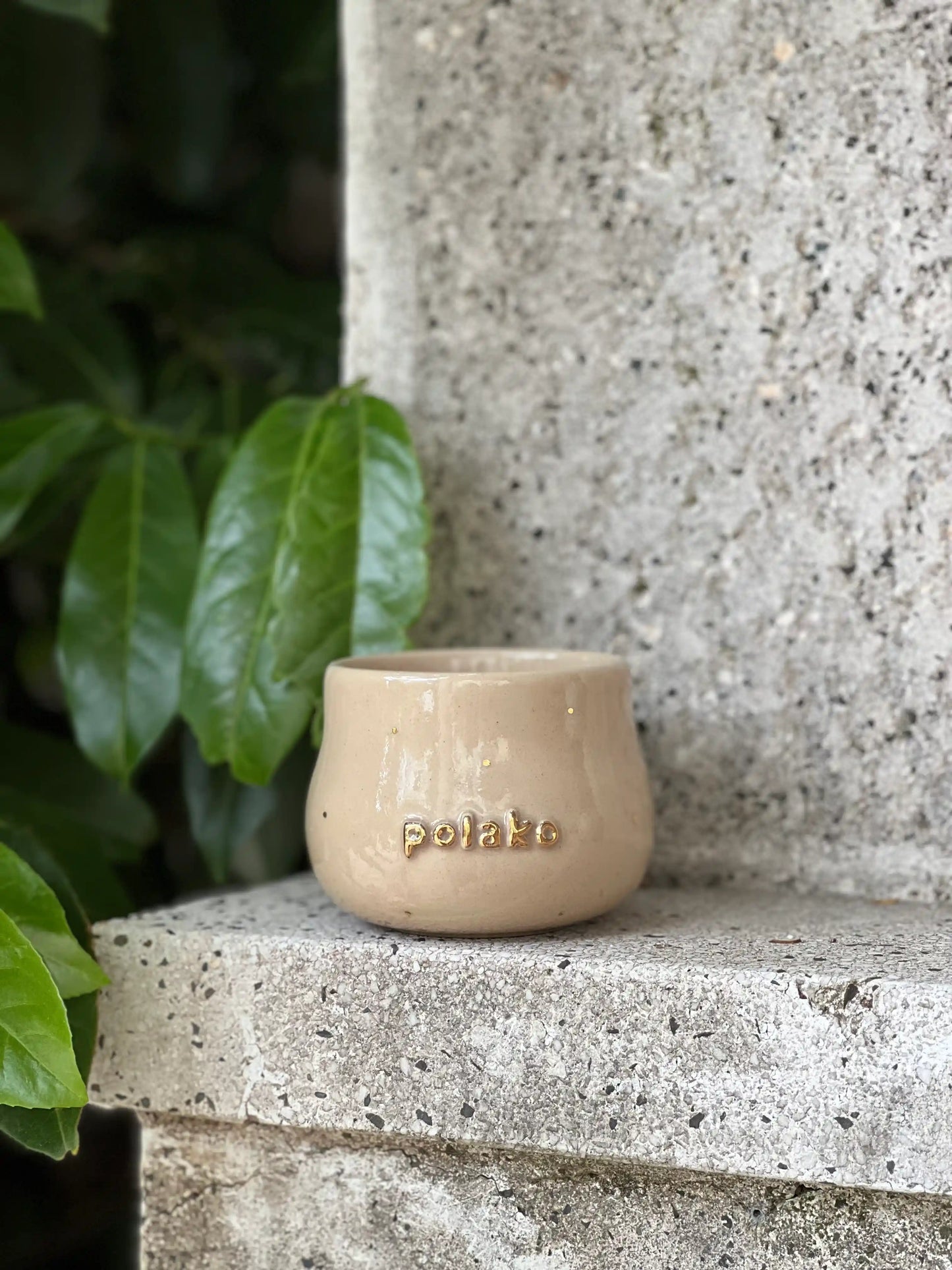 Polako Cup 300ml