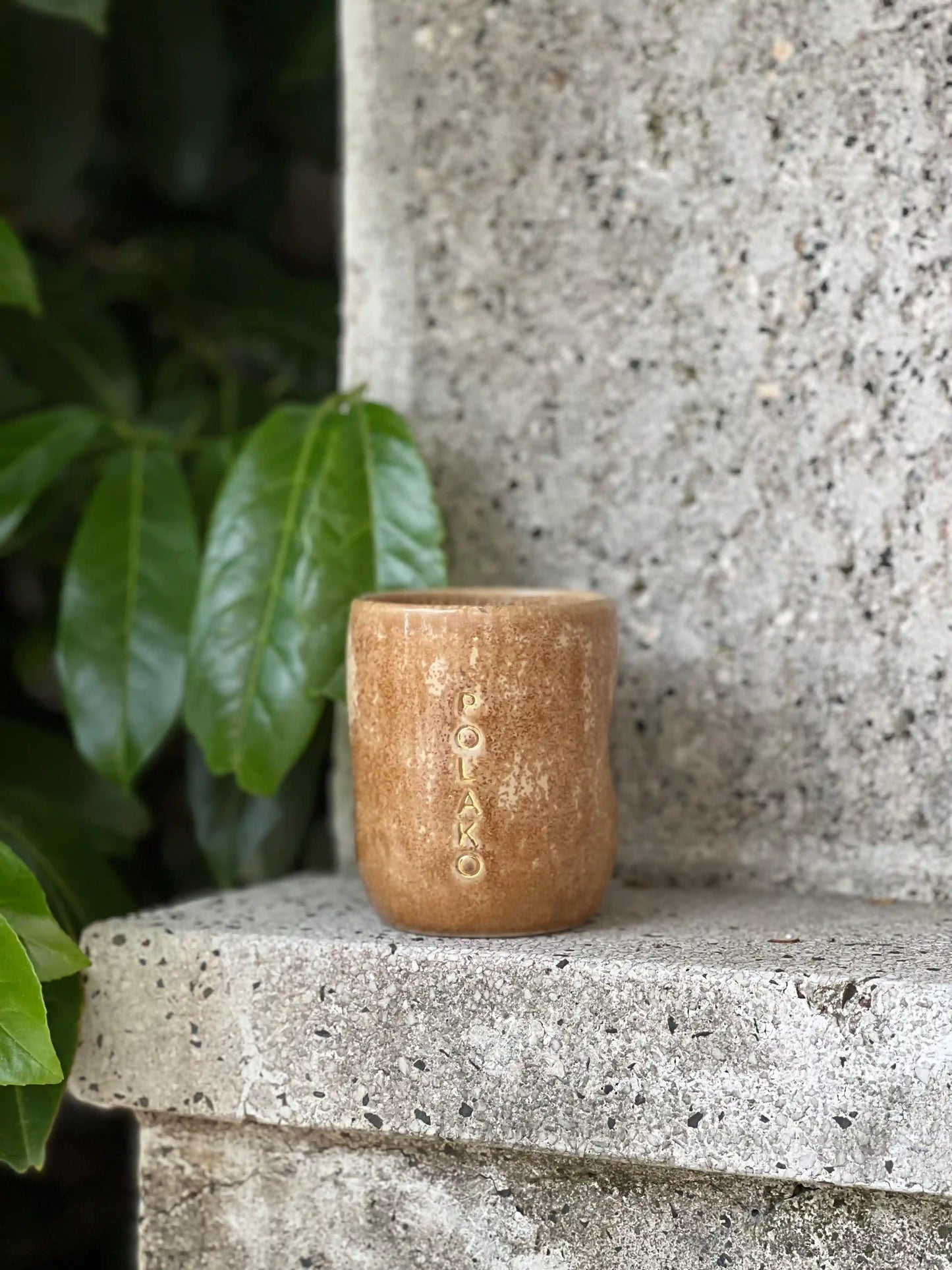 Polako Cup 300ml